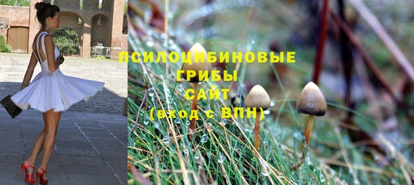 спиды Абдулино