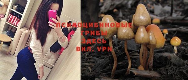 винт Алзамай