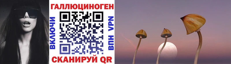 хочу наркоту  Старая Русса  Псилоцибиновые грибы Cubensis 